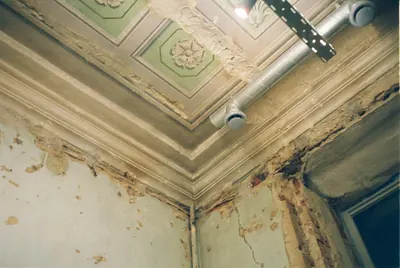 Water stained and peeling ceiling corner with dark growth along the crown molding